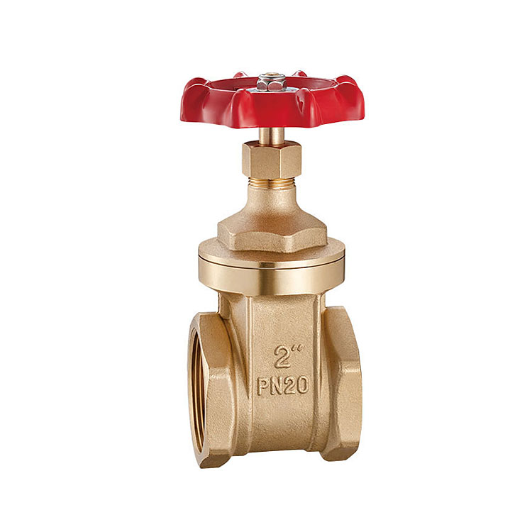 2900 Brass gate valve